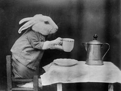 Bunny Coffee for Easter